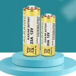 Alkaline Battery Supplier - OEM 23A 12V Battery Pack