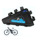 E-bike Battery Manufacturer - OEM 48V-72V Triangle Battery Pack