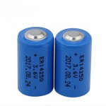 Watch Battery Manufacturer - OEM ER14250 3.6V 1200mAh