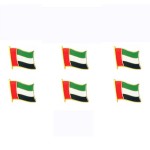 Lapel Pins Factory - UAE Flag Soft Enamel OEM