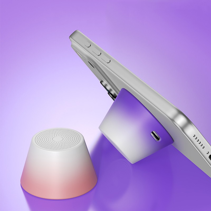 Wireless Speaker Supplier - OEM 2-in-1 Macaron Magnetic Mini