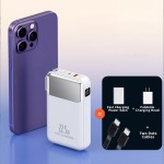 Power Bank Manufacturer - OEM 20000mAh 3-in-1 Outdoor Charger