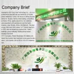 Mobile Battery Factory - OEM Huawei P8-P30 All Model