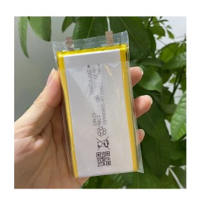 Polymer Battery Supplier - OEM 1260110 10000mAh 3.7V