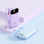 Power Bank Manufacturer - OEM Custom Logo 20000mAh Fast Charging