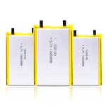 Polymer Battery Supplier - OEM 1260110 10000mAh Reserve