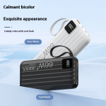 Power Bank Factory - 20000mAh LED Display USB-C