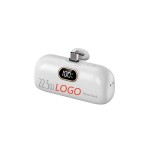 Power Bank Manufacturer - Mini Digital Display Type C