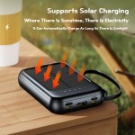 Power Bank Factory - Solar 10000mAh Double Torch