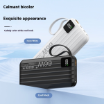 Power Bank Factory - 20000mAh PD20W Quick Charge