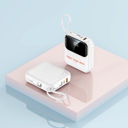 Power Bank Factory - 10000mAh 2-in-1 Corporate Gift