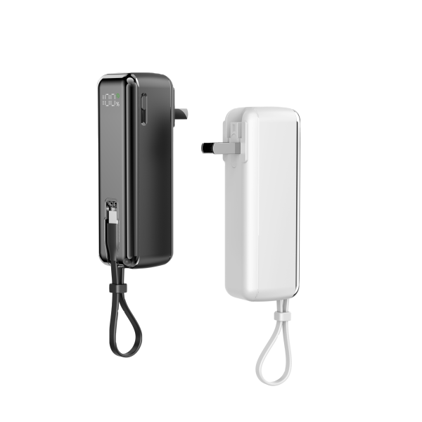 Wall Charger Manufacturer - PD22.5W AC Plug Portable