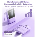 Power Bank Factory - 22.5W AC Plug Capsule Design