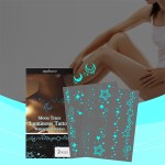 Zephoco 2pcs独特的蓝光夜光效果令人惊叹的化妆隐藏身体月亮痕迹发光纹身防水贴纸