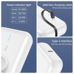 Power Bank Supplier - OEM 20W 10000mAh Magnetic Wireless