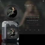 Wireless Earbuds Supplier - OEM Noise Cancelling Headset