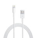 Data Cable Supplier - OEM USB to IOS 8Pin Fast Charging