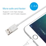Data Cable Supplier - OEM USB to IOS 8Pin Fast Charging