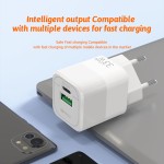 Wall Charger Factory - OEM A+Type C EU GaN Fast Charger