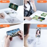 Audio Cable Manufacturer - 2-in-1 Type C Aux 10W