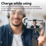 Microphone Factory - Magnetic Charging Case Lavalier