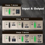 Wall Charger Manufacturer - 65W GaN 2 Port PD 3.1