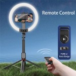 Live Photo Factory - OEM 2025 P40 Remote Control