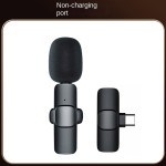 Wireless System Manufacturer - OEM Portable 3-in-1 Type C