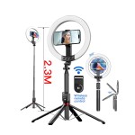 Live Photo Factory - OEM 2025 P40 Remote Control