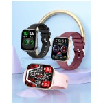 Smart Watch Supplier - OEM Dafit IP68 Heart Rate Monitor