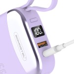 Power Bank Factory - 10000mAh LED Digital Display Charger