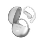 Wireless Earbuds Manufacturer - Real Translation Recording Headphone
