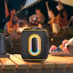 Wireless Speaker Manufacturer - Portable Bluetooth Speaker Factory