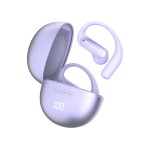 Wireless Earbuds Manufacturer - Real Translation Recording Headphone