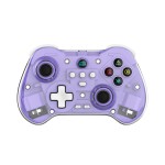 Game Controller Manufacturer - Transparent Housing Wireless Controller