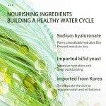 OEM纯素草药舒缓水合4片初学者套件松茸蘑菇抗衰老护肤套装零残忍的脸