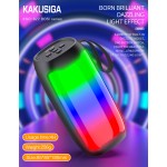 BT Speaker Manufacturer - OEM Dual 8 Audio Super Bass