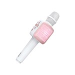 BT Headphones Supplier - OEM Magnetic Sport Earbuds