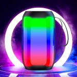 BT Speaker Factory - OEM Portable TWS Smart Tech