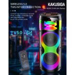 Karaoke System Factory - OEM Full Translucent 40W 15 Inch