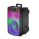 Portable Speaker Manufacturer - OEM LED High Power Karaoke