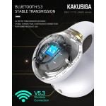 Sport Wireless Factory - OEM True Stereo Earbuds