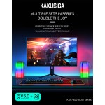 BT Speaker Manufacturer - OEM Dual 8 Audio Super Bass