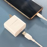 Wall Charger Manufacturer - 65W High Power Fast Travel Charger