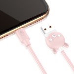 Data Cable Factory - Custom Logo Type C Fast Charging Cable