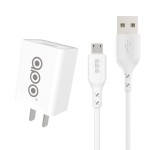 Charging Set Manufacturer - 5V2.1A Travel Charger with Data Cable
