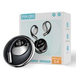 Bluetooth Earphones Factory - 144 Languages AI Translating Earbuds