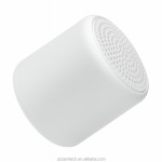 Portable Speaker Factory - TWS 360-degree Omnidirectional Sound