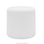 BT Subwoofer Manufacturer - Wireless Waterproof Surround Sound