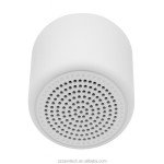 Portable Speaker Factory - Small Wireless Active Speaker